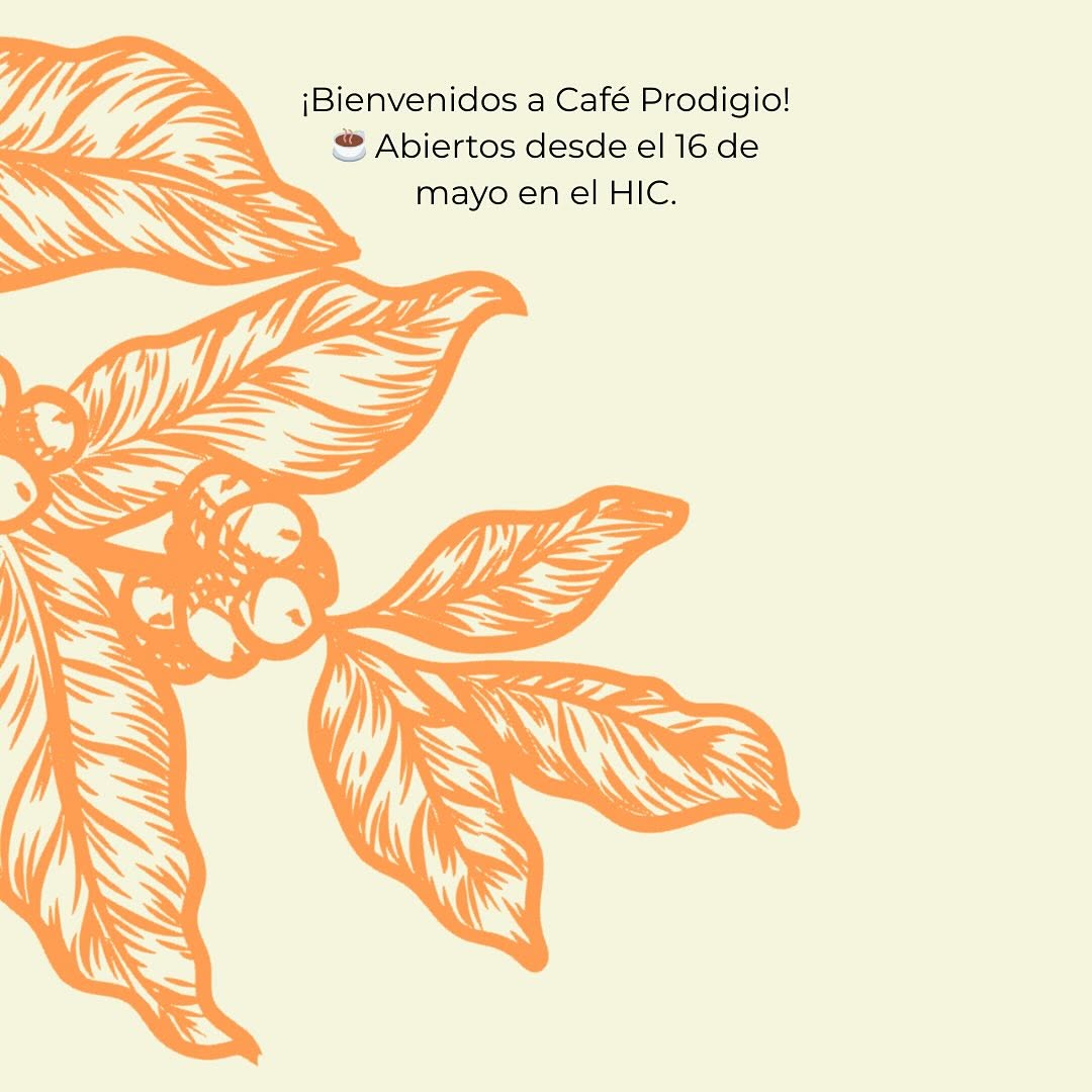 Bienvenidos a Prodigio — un café para pausar, respirar y reconectar / Welcome to Prodigio — a café to pause, breathe, and reconnect